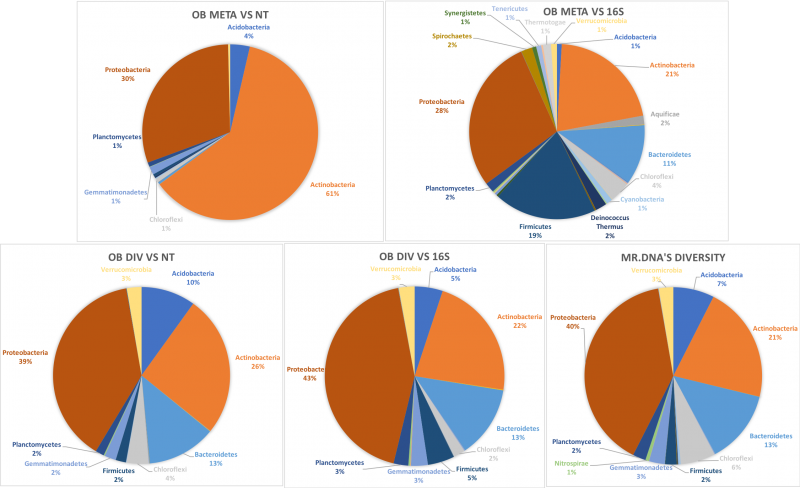 Pie charts from the Blast+ research project.