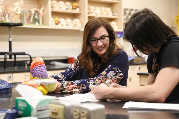 !An instructor holds a model brain while assisting a student. 