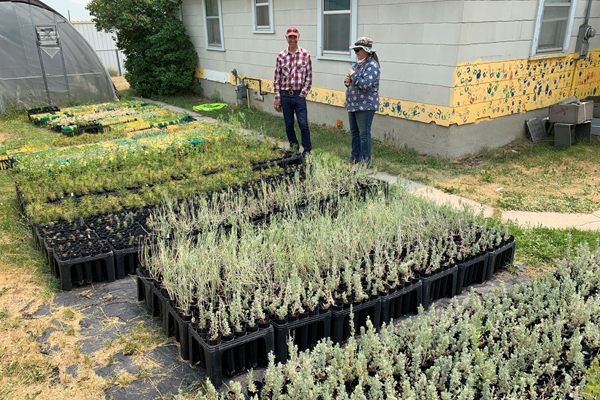 !Native Plant Program 